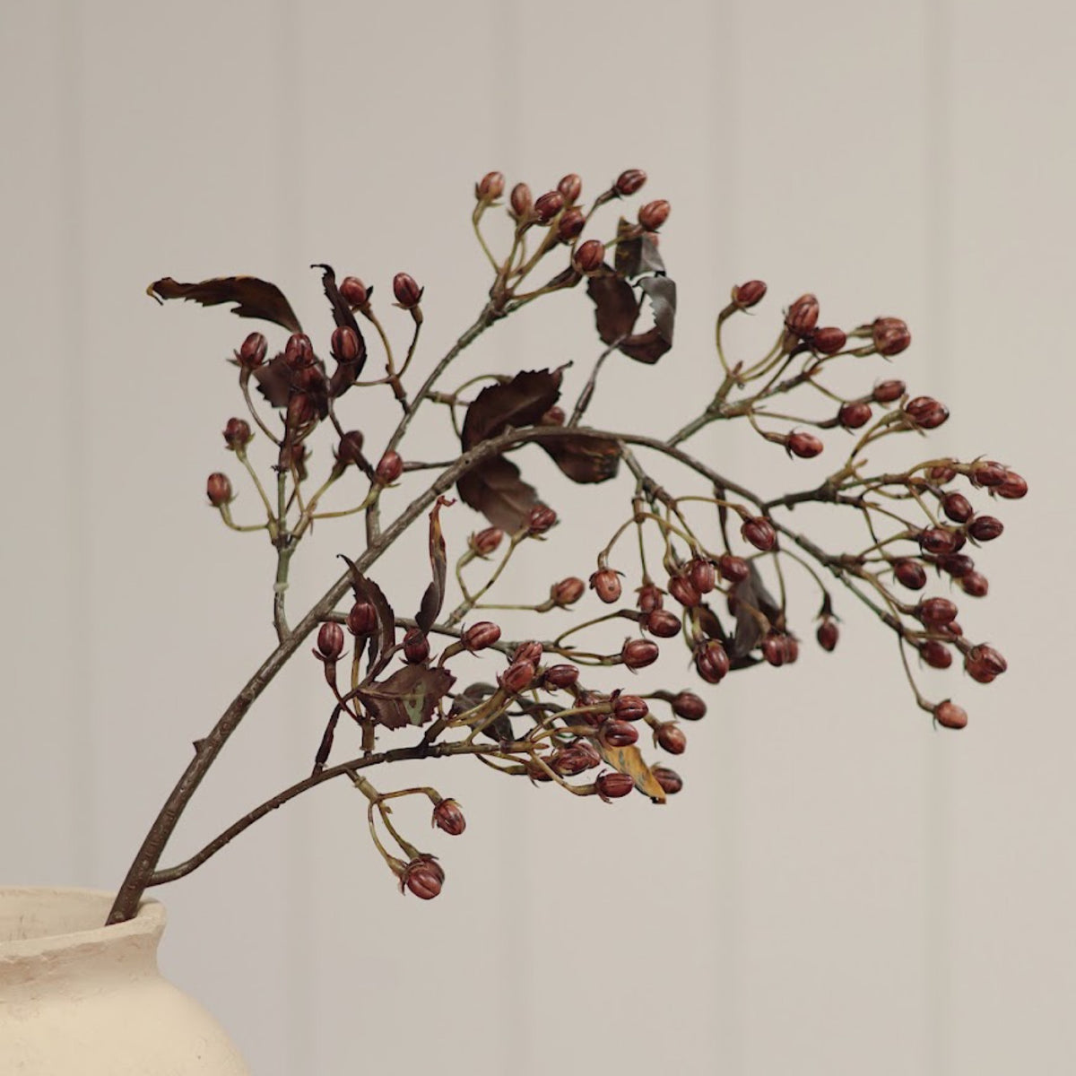 Hipericum Spray