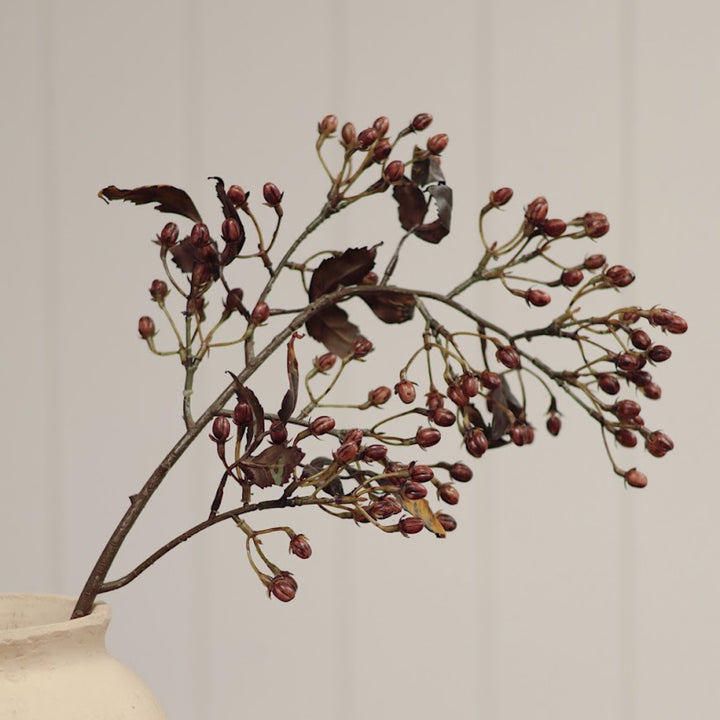 Hipericum Spray