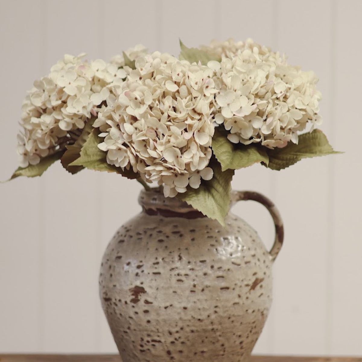 Heirloom Hydrangeas, White