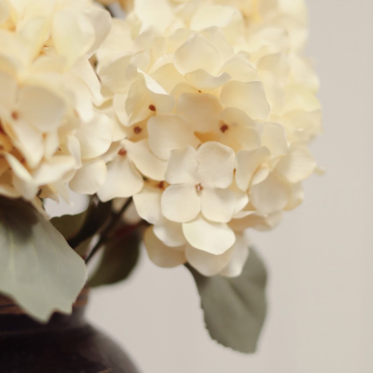 Hydrangea Bouquet - Cream
