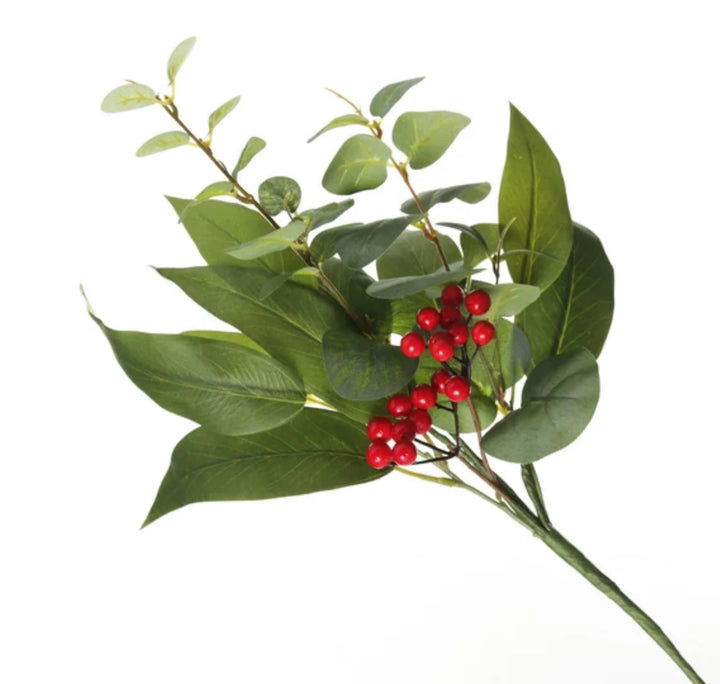Eucalyptus & Red Berry Pick