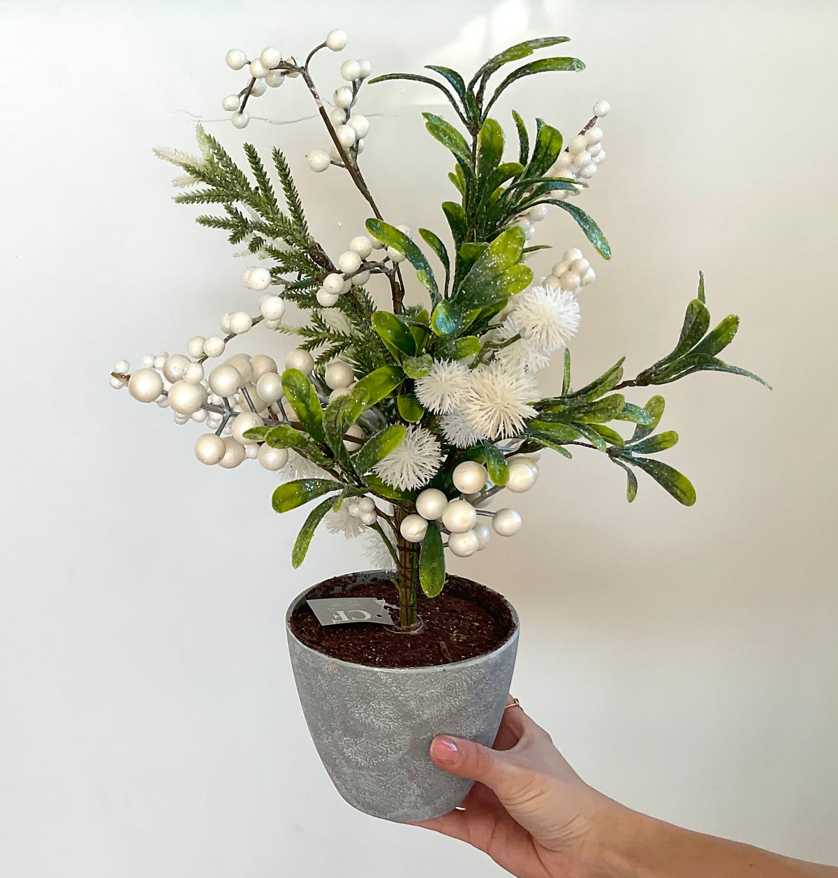 Flocked White Berry & Mistletoe Potted Tree