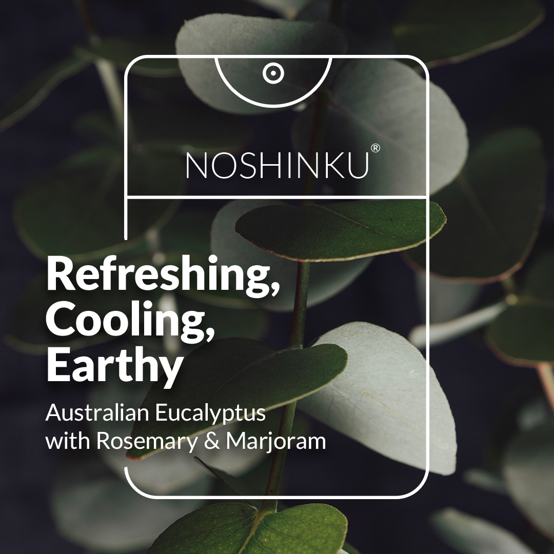 Eucalyptus NOSHINKU Hand Sanitizer, Ultra Moisturizing