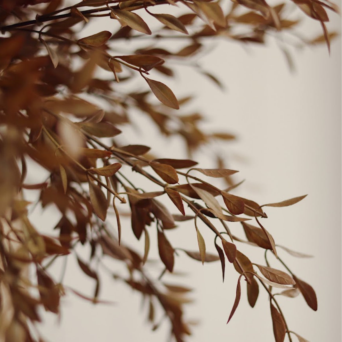 Willow Leaf Spray - Harvest