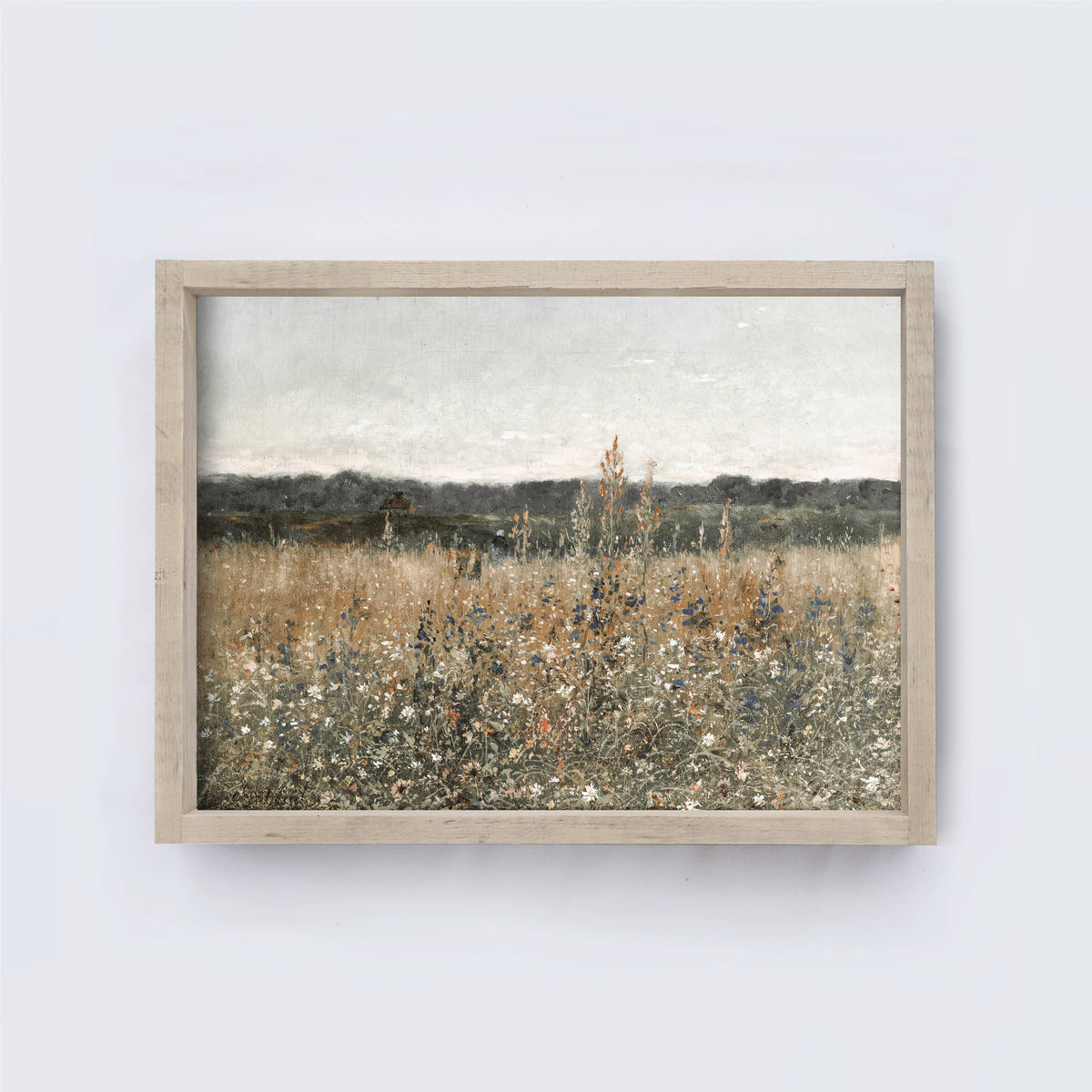 Vintage Print Framed - Wildflowers