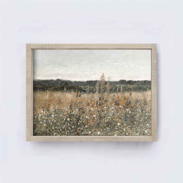 Vintage Print Framed - Wildflowers