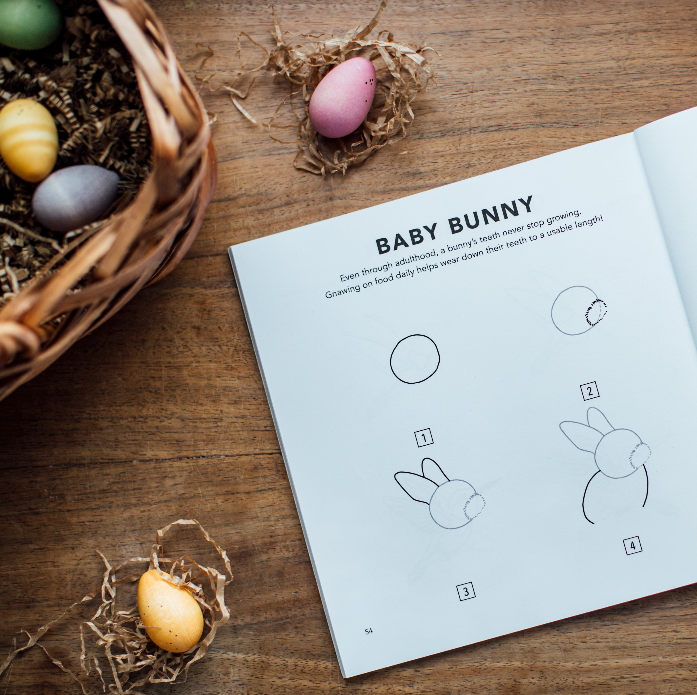 Spring Things: How to Draw Books for Kids, Easter Gift