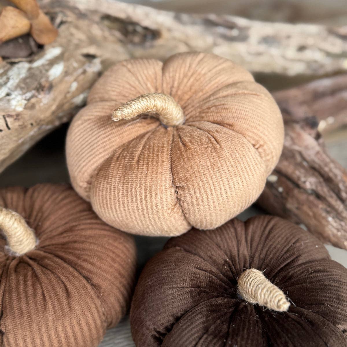 Medium Tan Corduroy Pumpkin
