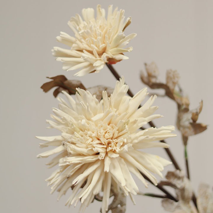 Dahlia Spray - Cream
