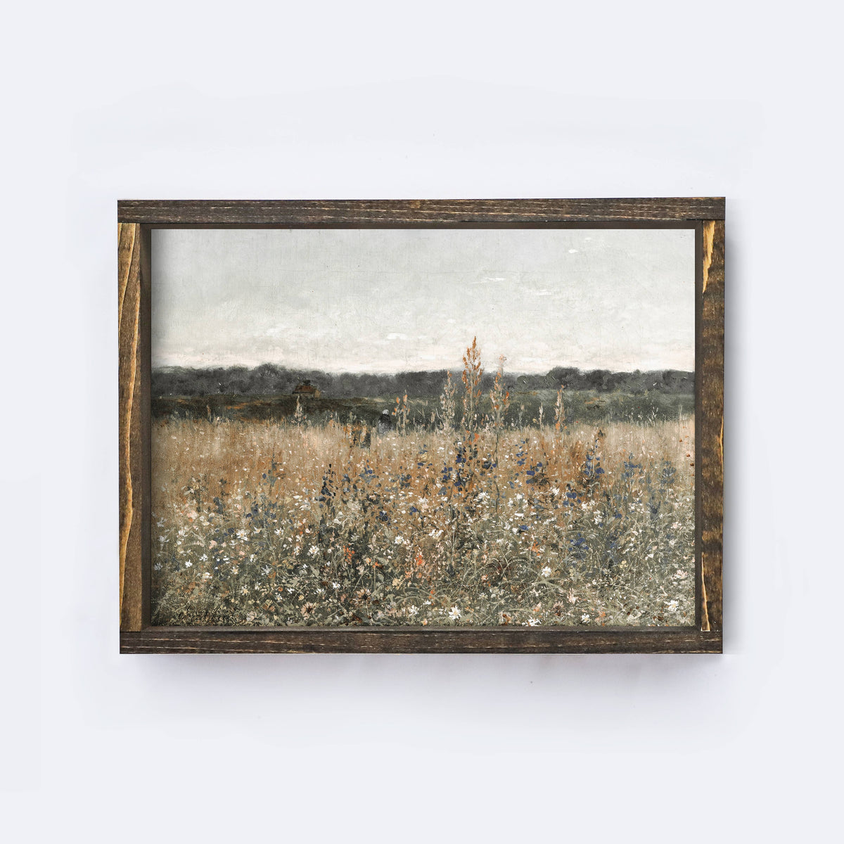 Vintage Print Framed - Wildflowers