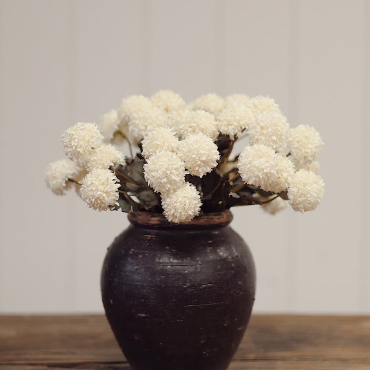Hipericum Spray
