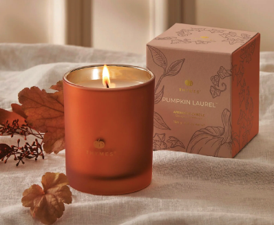 Thymes Pumpkin Laurel 6.5oz Boxed Candle