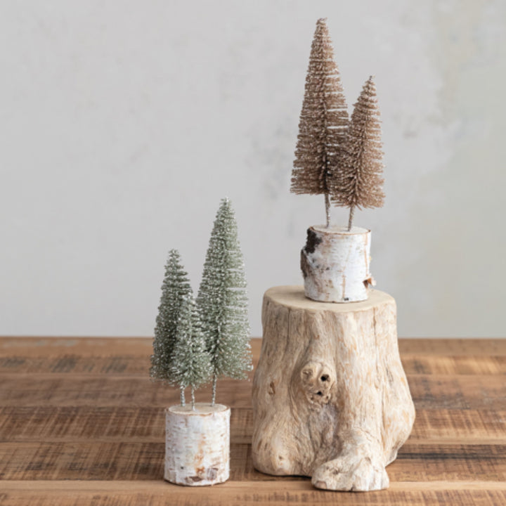 Bottle Brush Trees