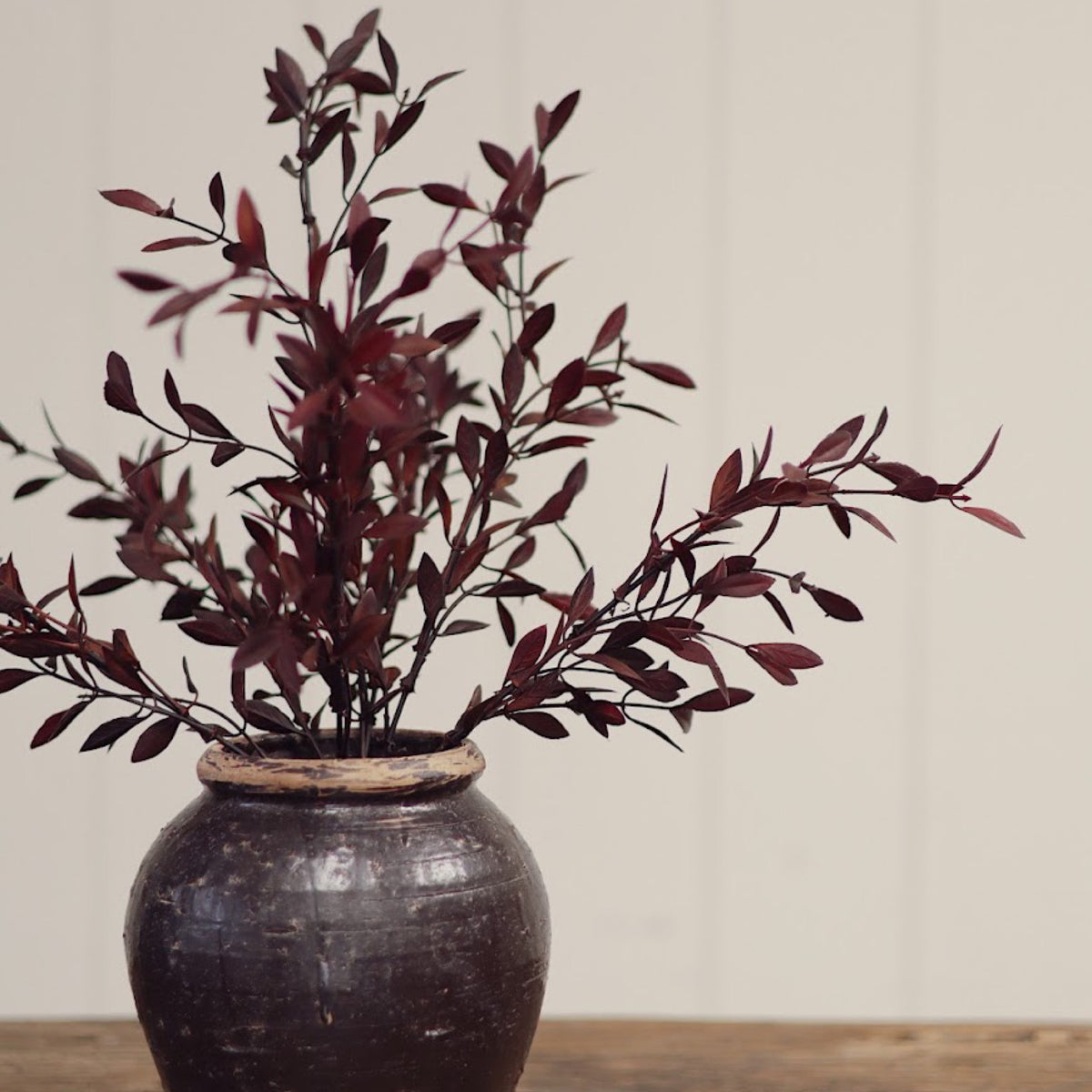 Willow Leaf Spray - Plum