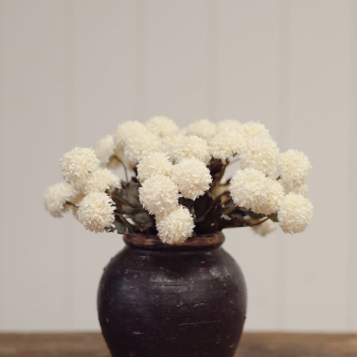 Morandi Bloom Bouquet - Cream