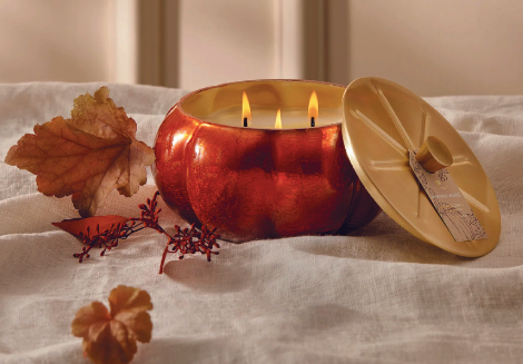 Thymes Pumpkin Laurel 15oz Statement Candle
