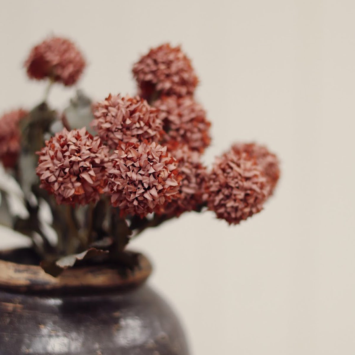 Morandi Bloom Bouquet - Mauve